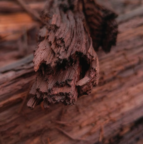 Teak & Timber Candle