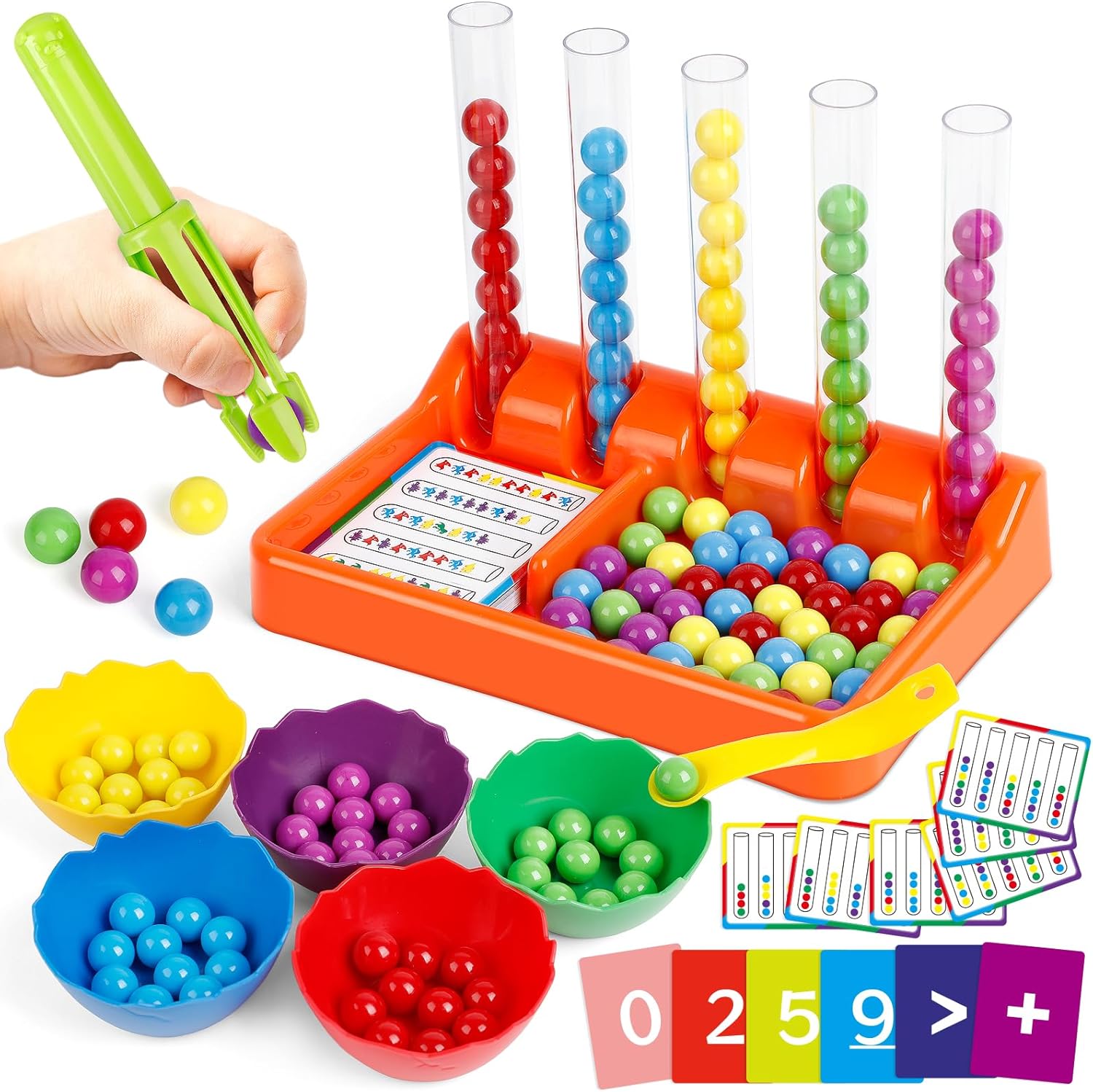 Fine Motor Skills Sorting