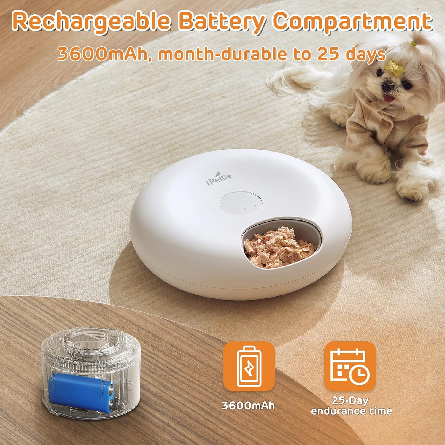 iPetie 6-Meal Pet Feeder