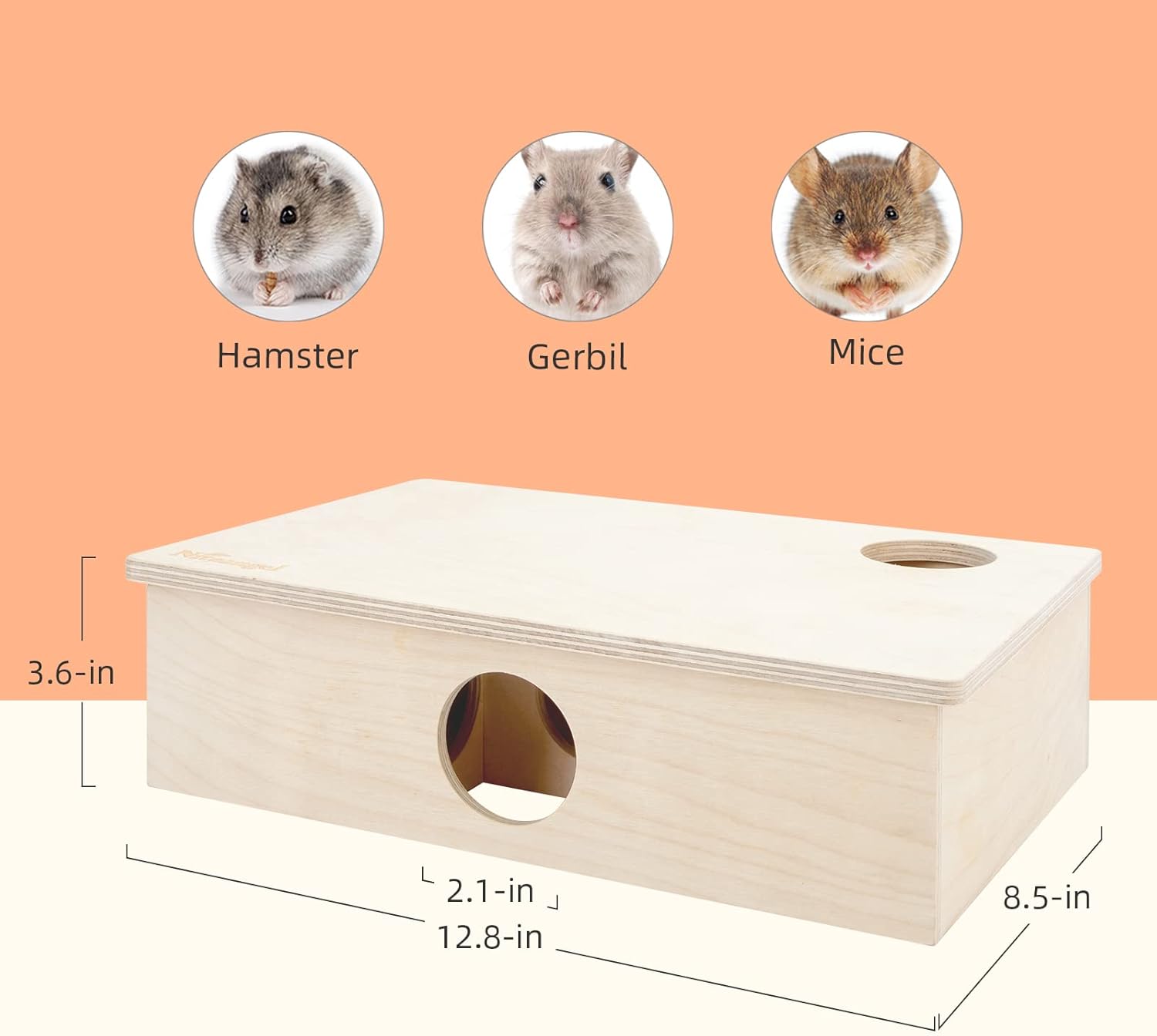 Hamster 6-Room Maze