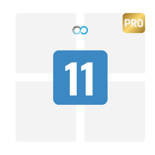 Windows 11 Professional OEM (Only one device).