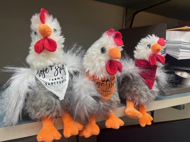 Chicken Plush Animal