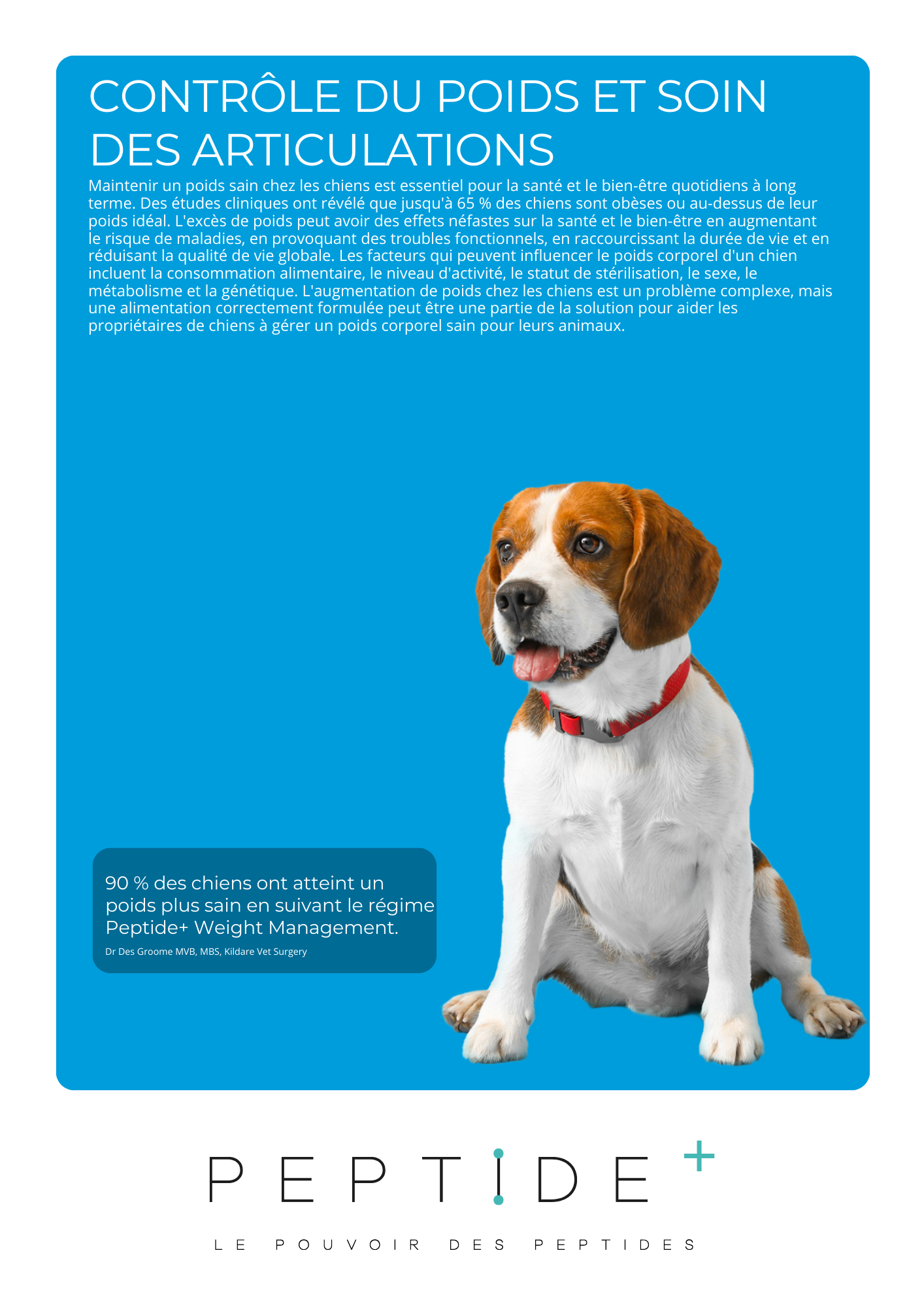 Croquettes Super Premium Au Poisson Blanc Hydrolysé