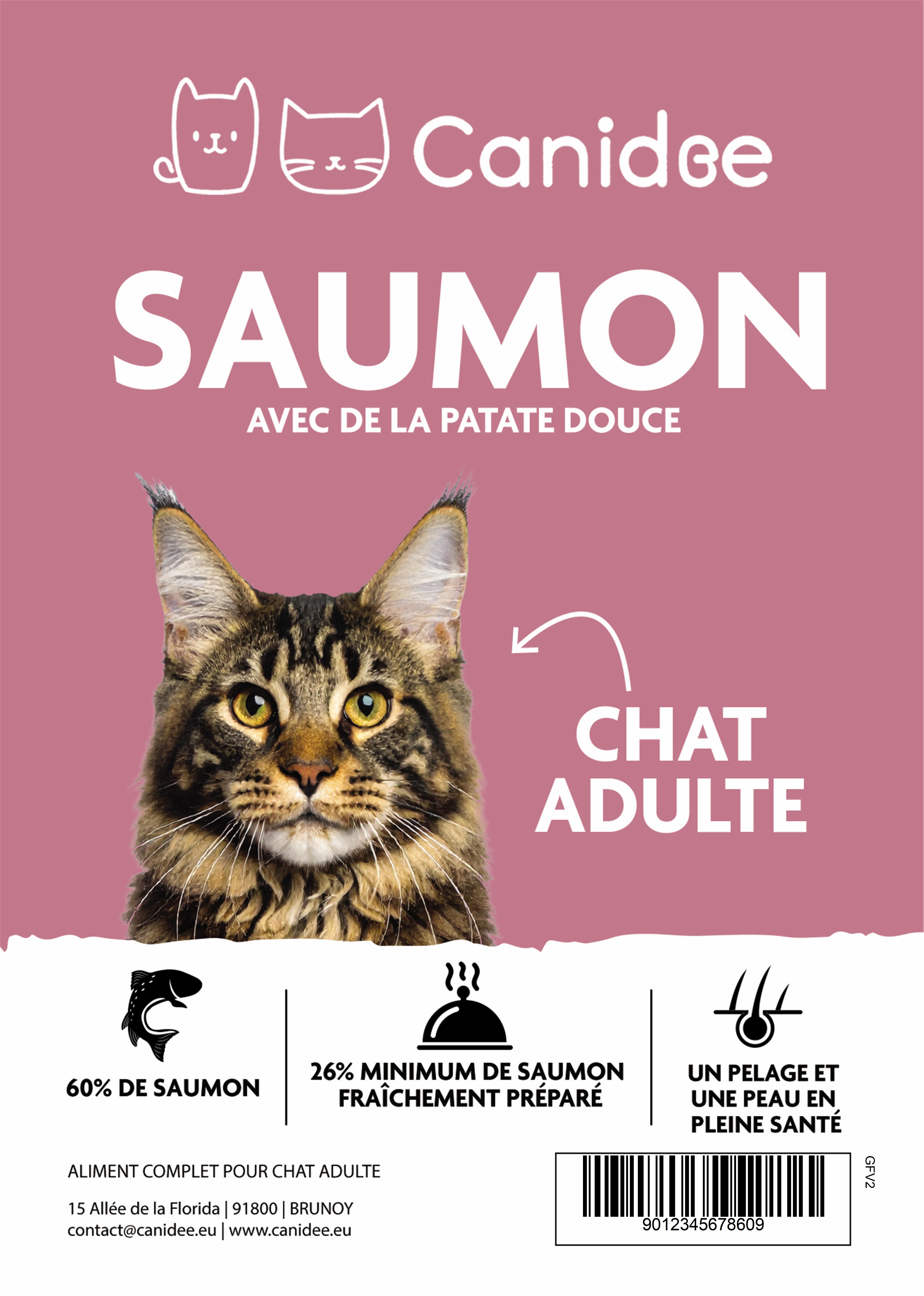 Croquettes Sans Céréales Chat Adulte Saumon,