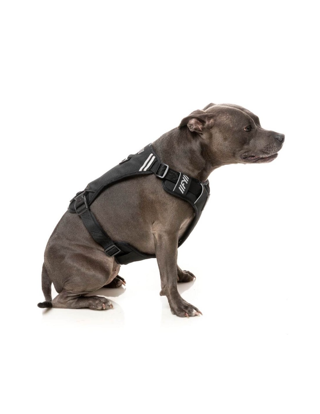 Harnais FY Active Go Harness - Black - L