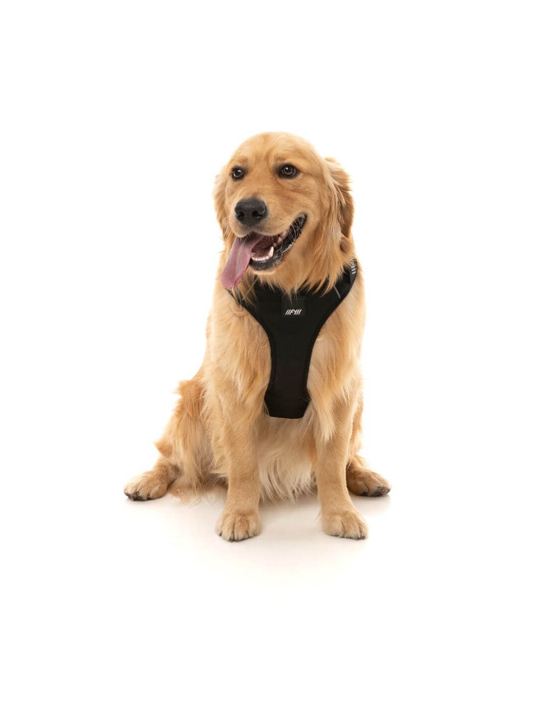 Harnais FY Active Go Harness - Black - L