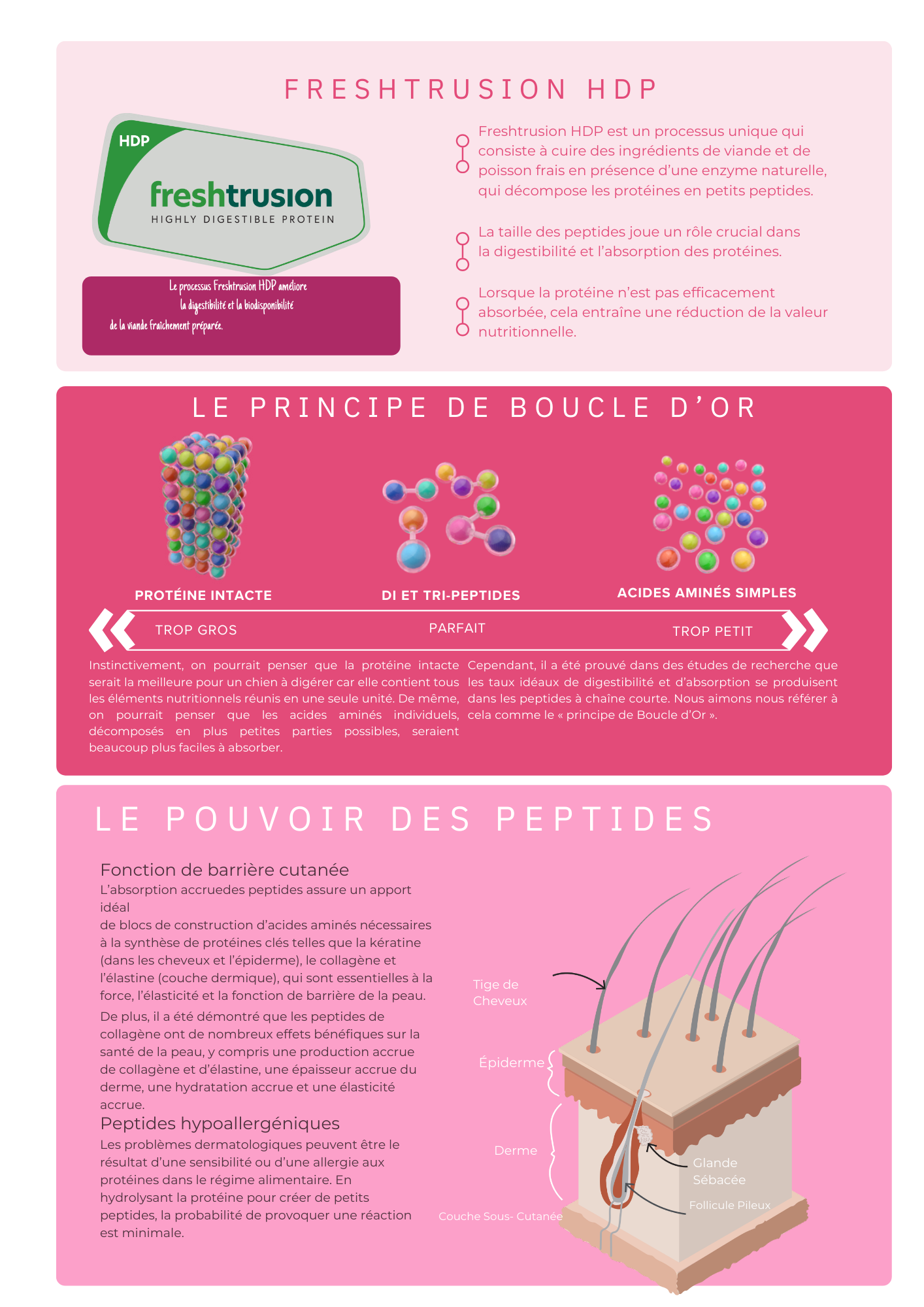 Croquettes Super Premium Pour Chien Saumon Hydrolysé & Superaliments