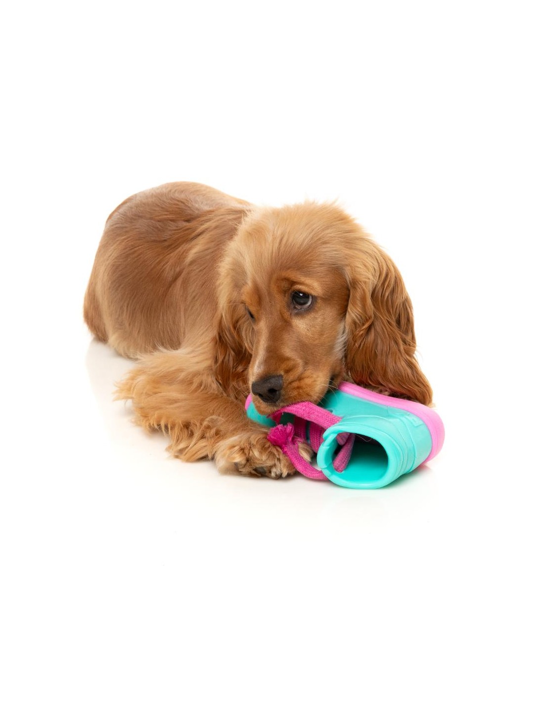 Jouet pour chien  Kicks n' Licks