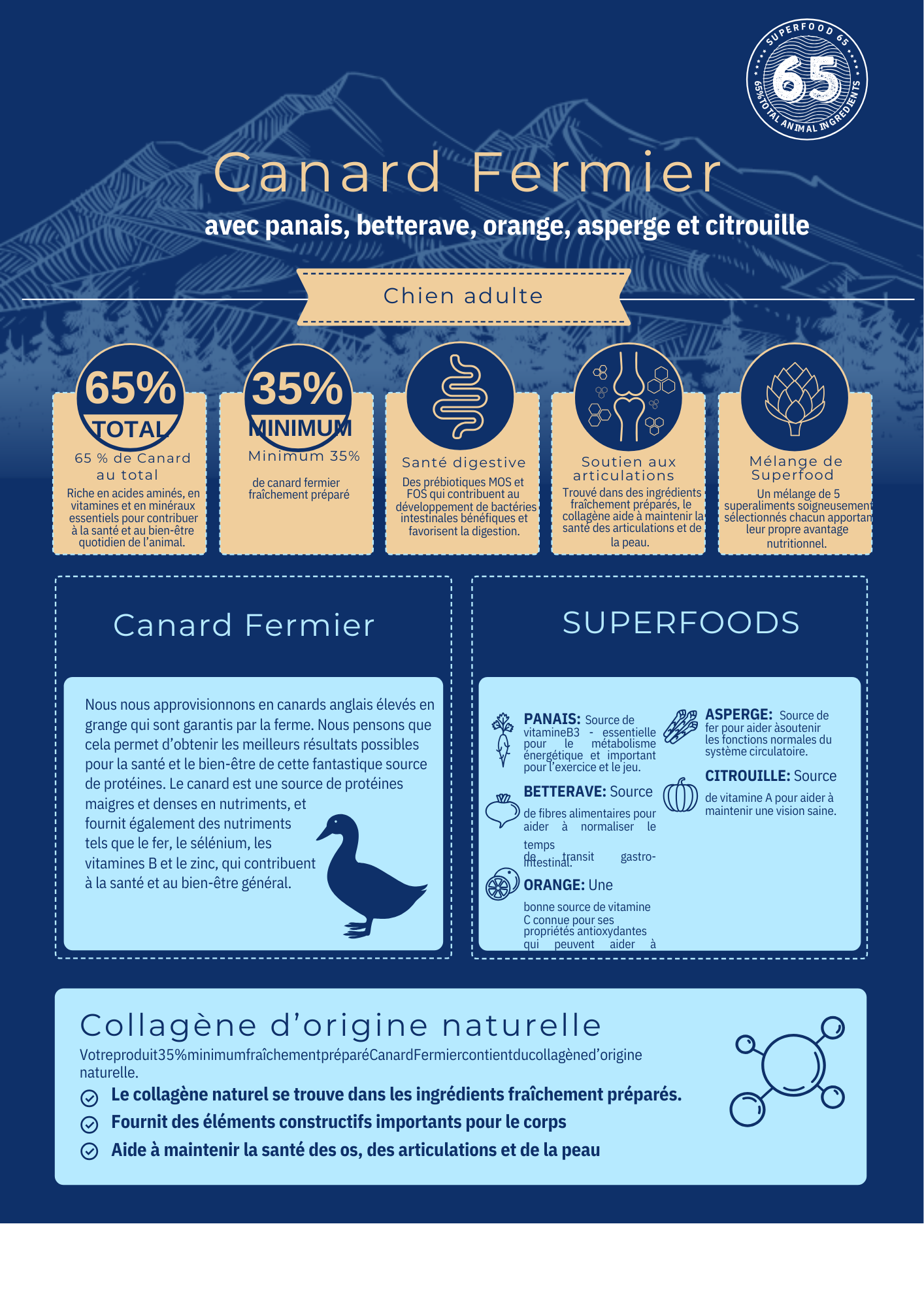 Croquettes Chien Premium Adulte 