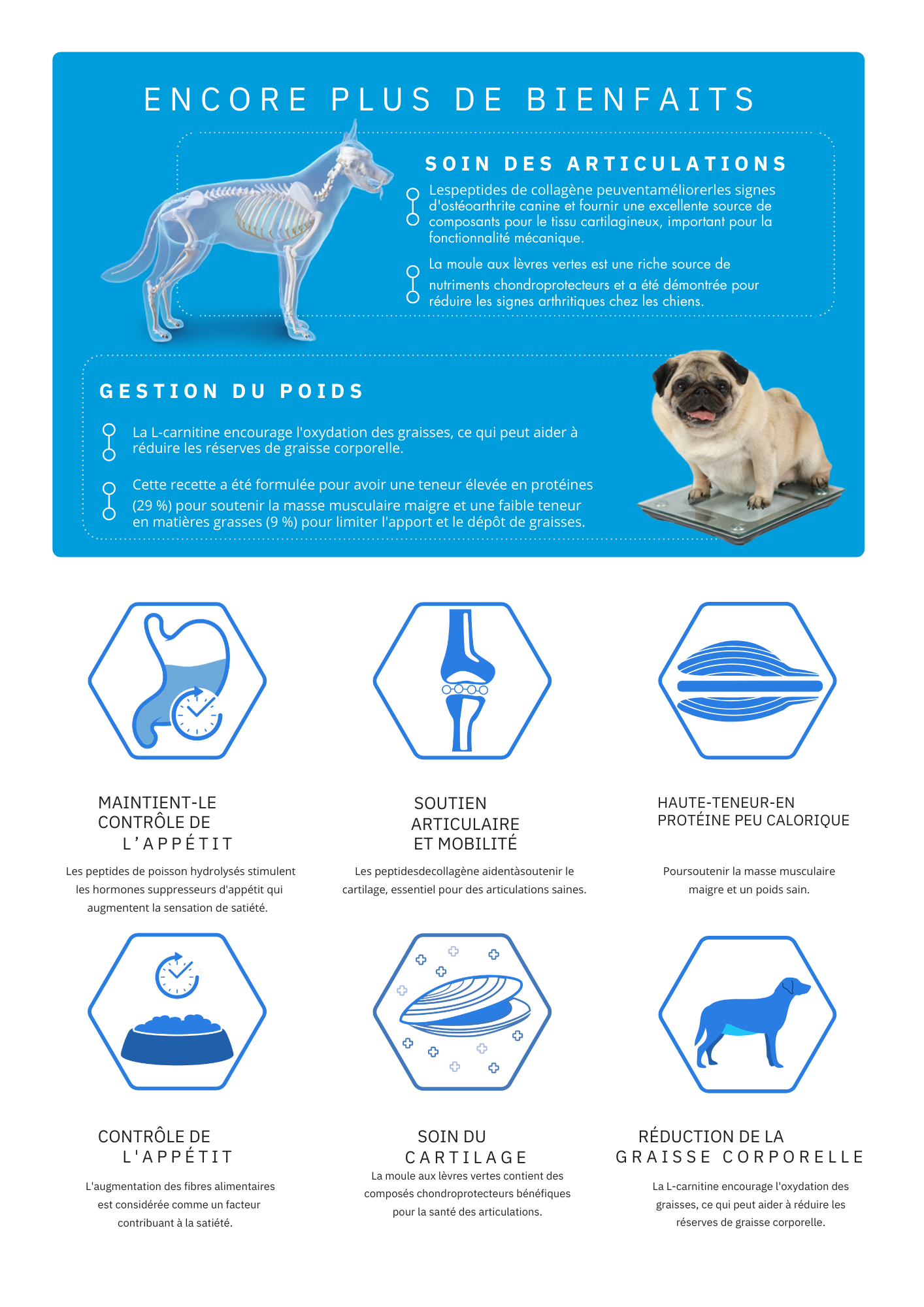 Croquettes Super Premium Au Poisson Blanc Hydrolysé