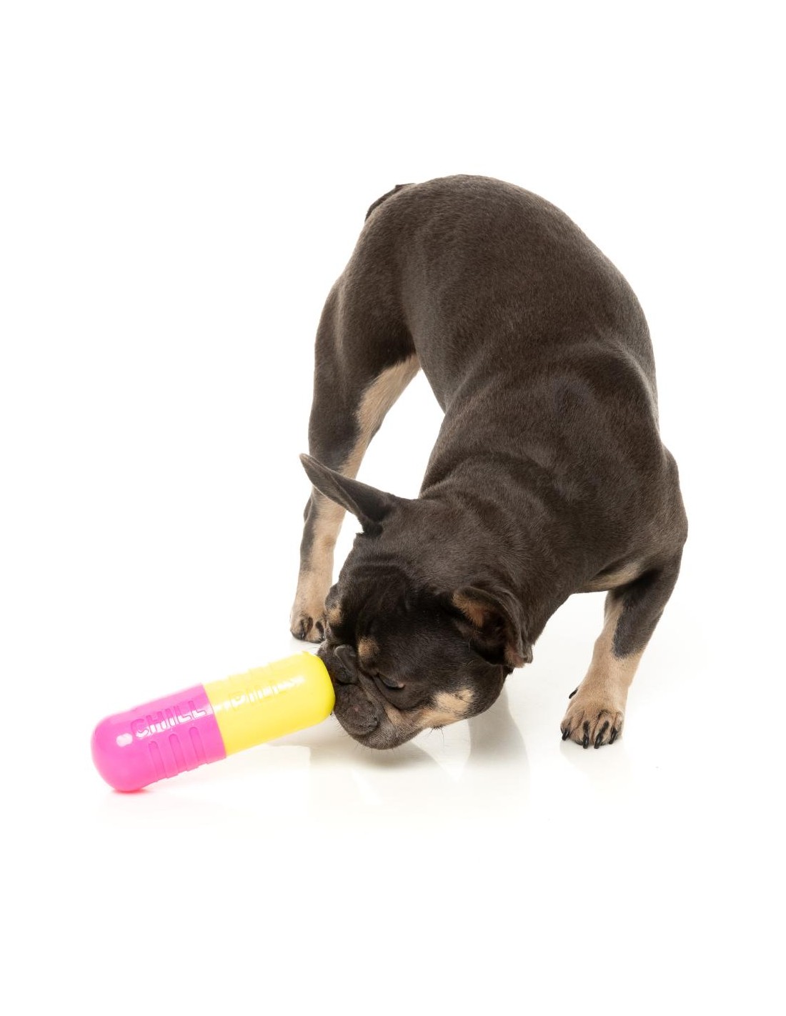 Jouet pour chien Chill Pill