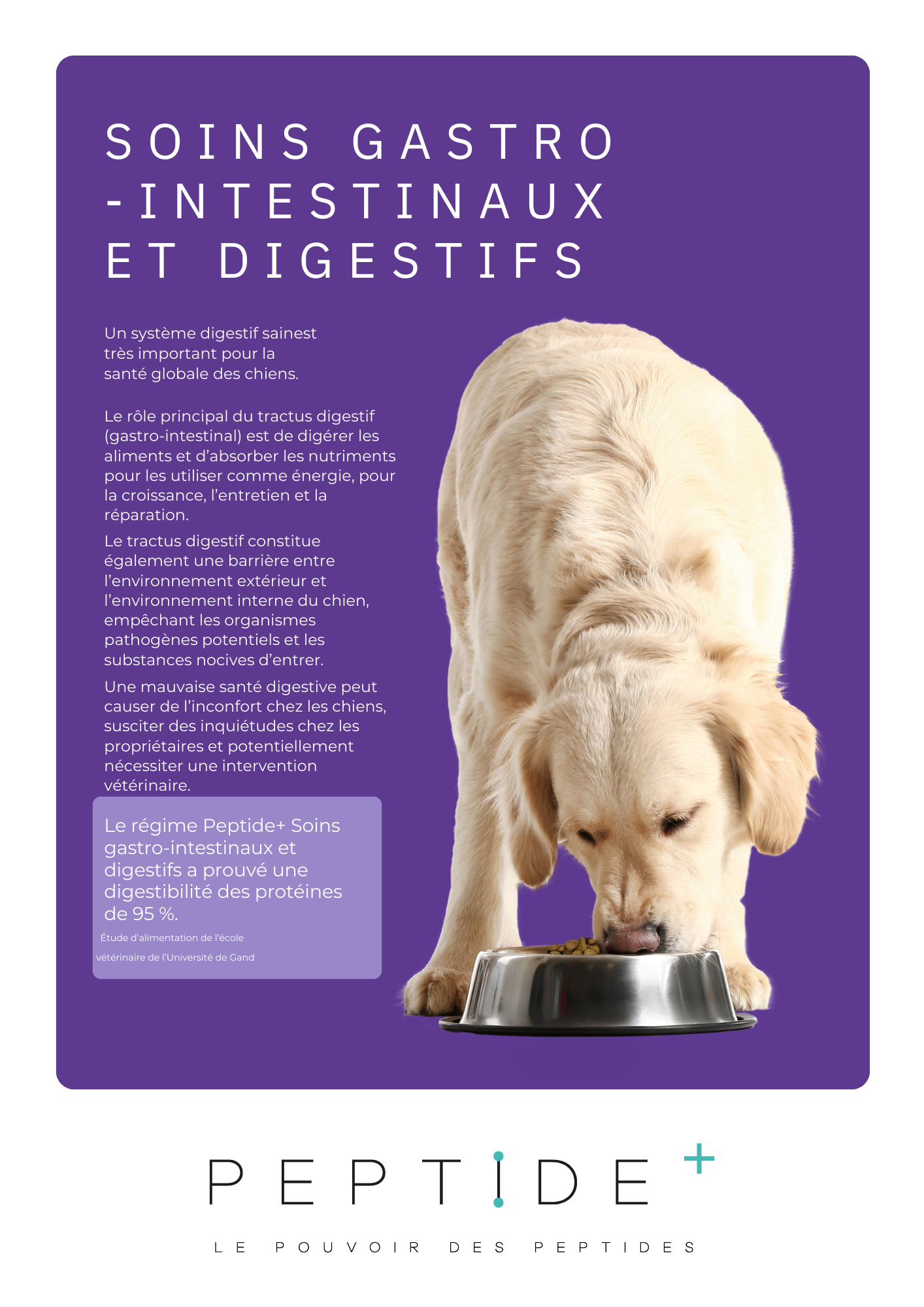  Croquettes Super Premium à La Dinde Hydrolysée – Nutrition Douce, Digestion Apaisée, Vitalité Renforcée