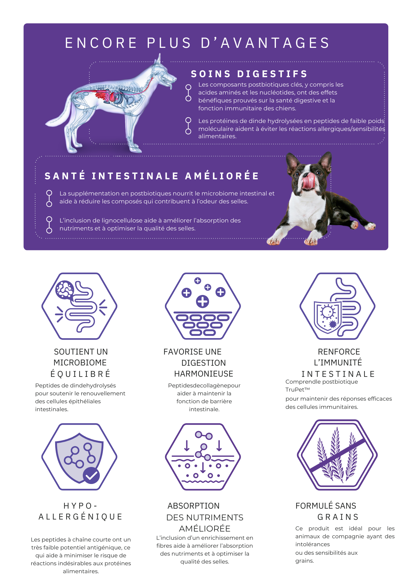  Croquettes Super Premium à La Dinde Hydrolysée – Nutrition Douce, Digestion Apaisée, Vitalité Renforcée