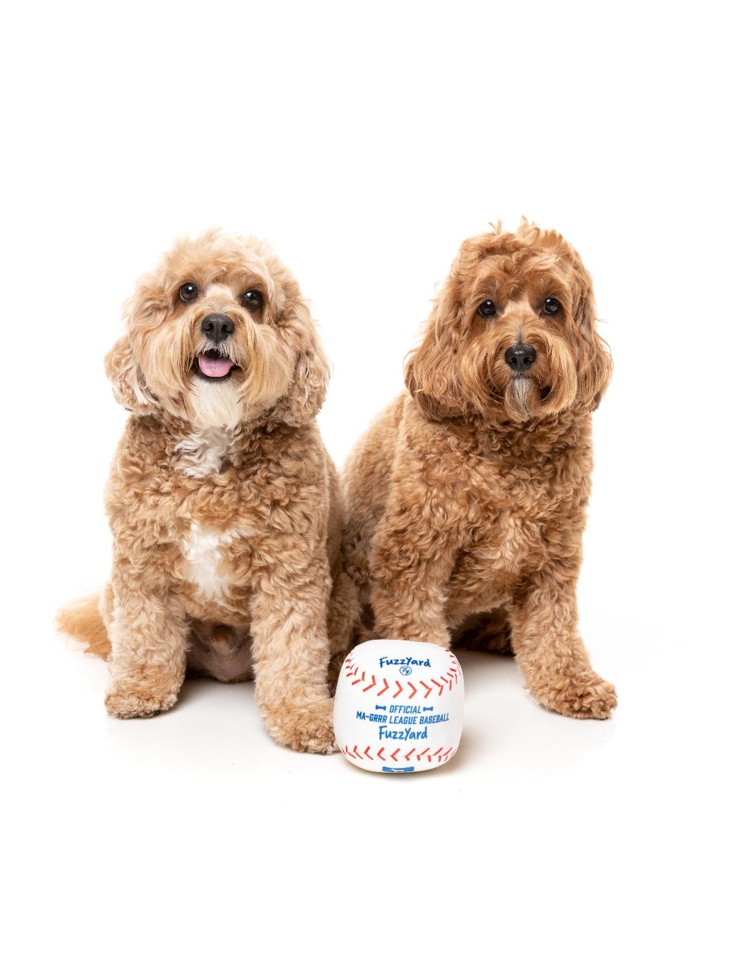 Jouet pour chien  Balle de Baseball  