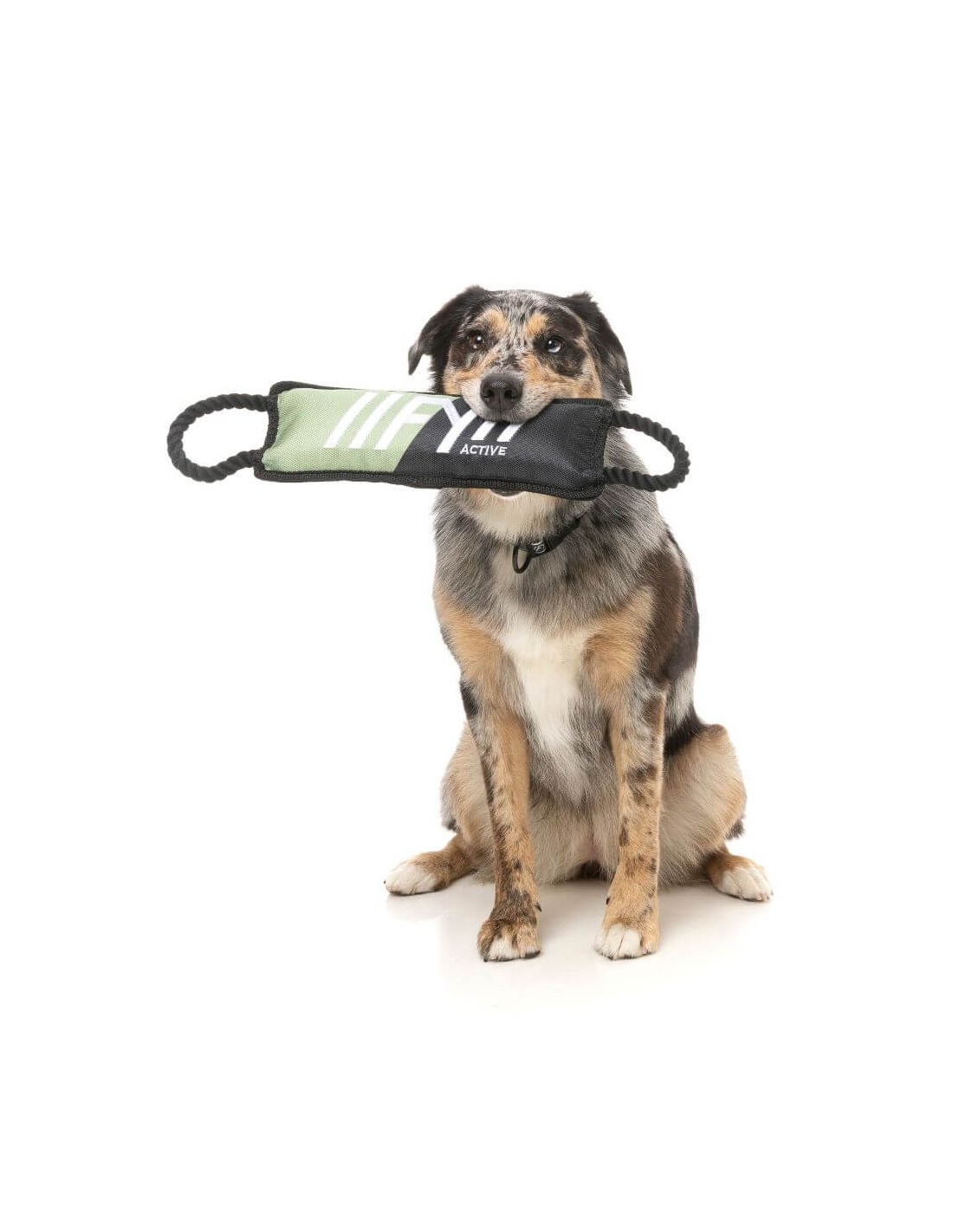 Jouet pour chien Active Rope Tug