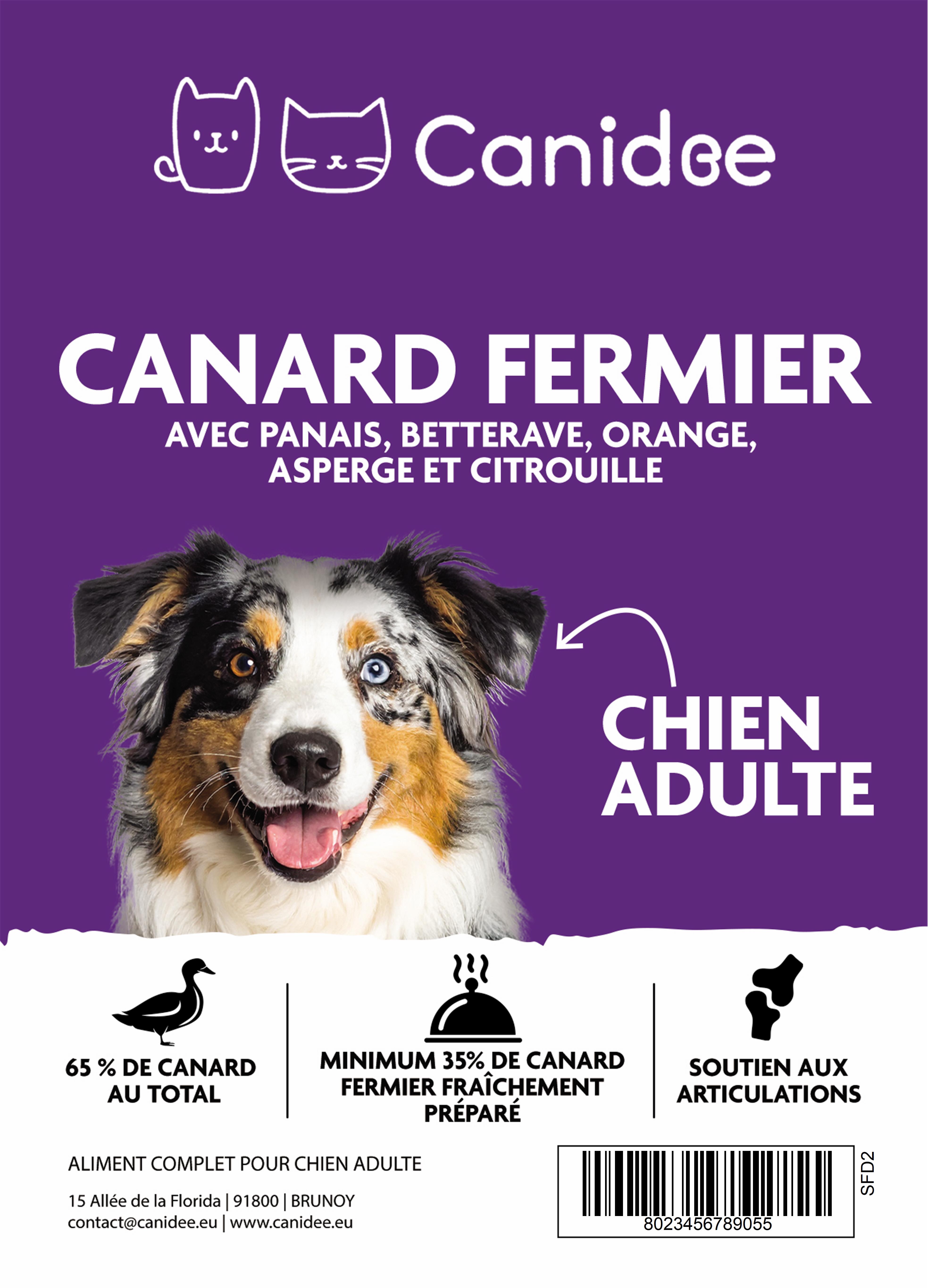 Croquettes Chien Premium Adulte 
