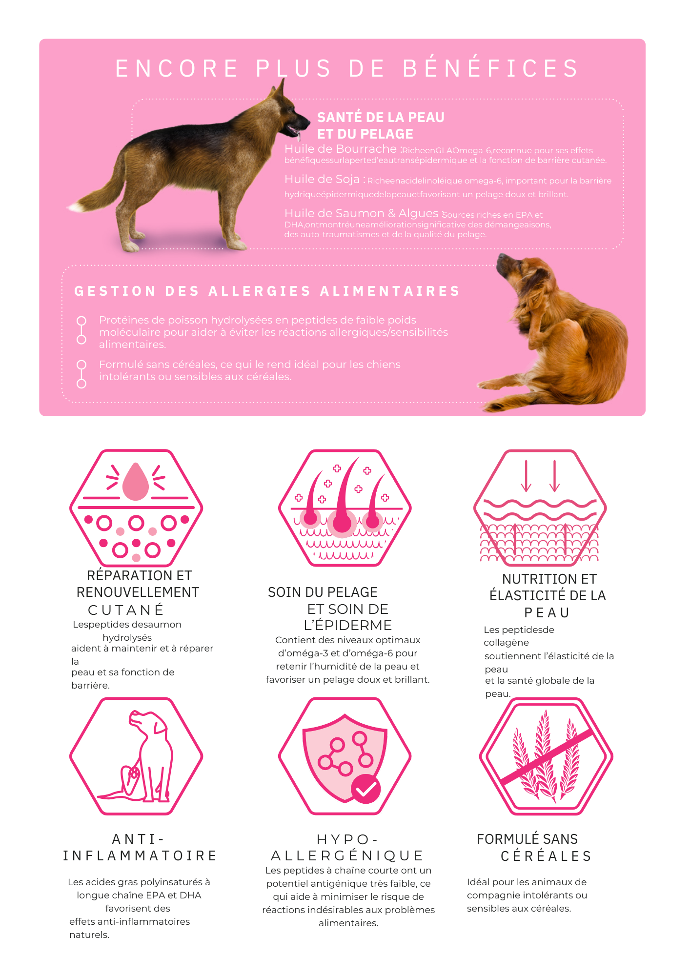 Croquettes Super Premium Pour Chien Saumon Hydrolysé & Superaliments