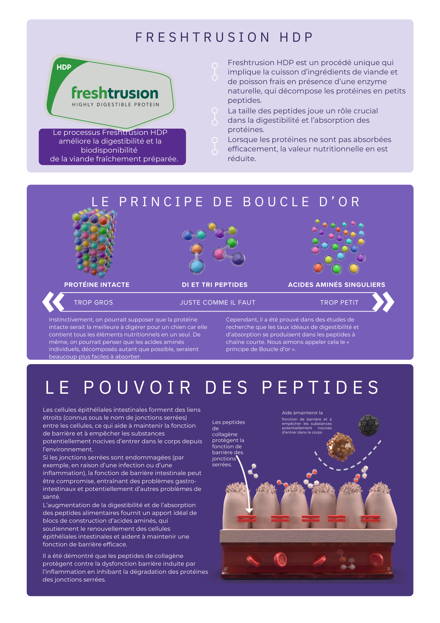  Croquettes Super Premium à La Dinde Hydrolysée – Nutrition Douce, Digestion Apaisée, Vitalité Renforcée