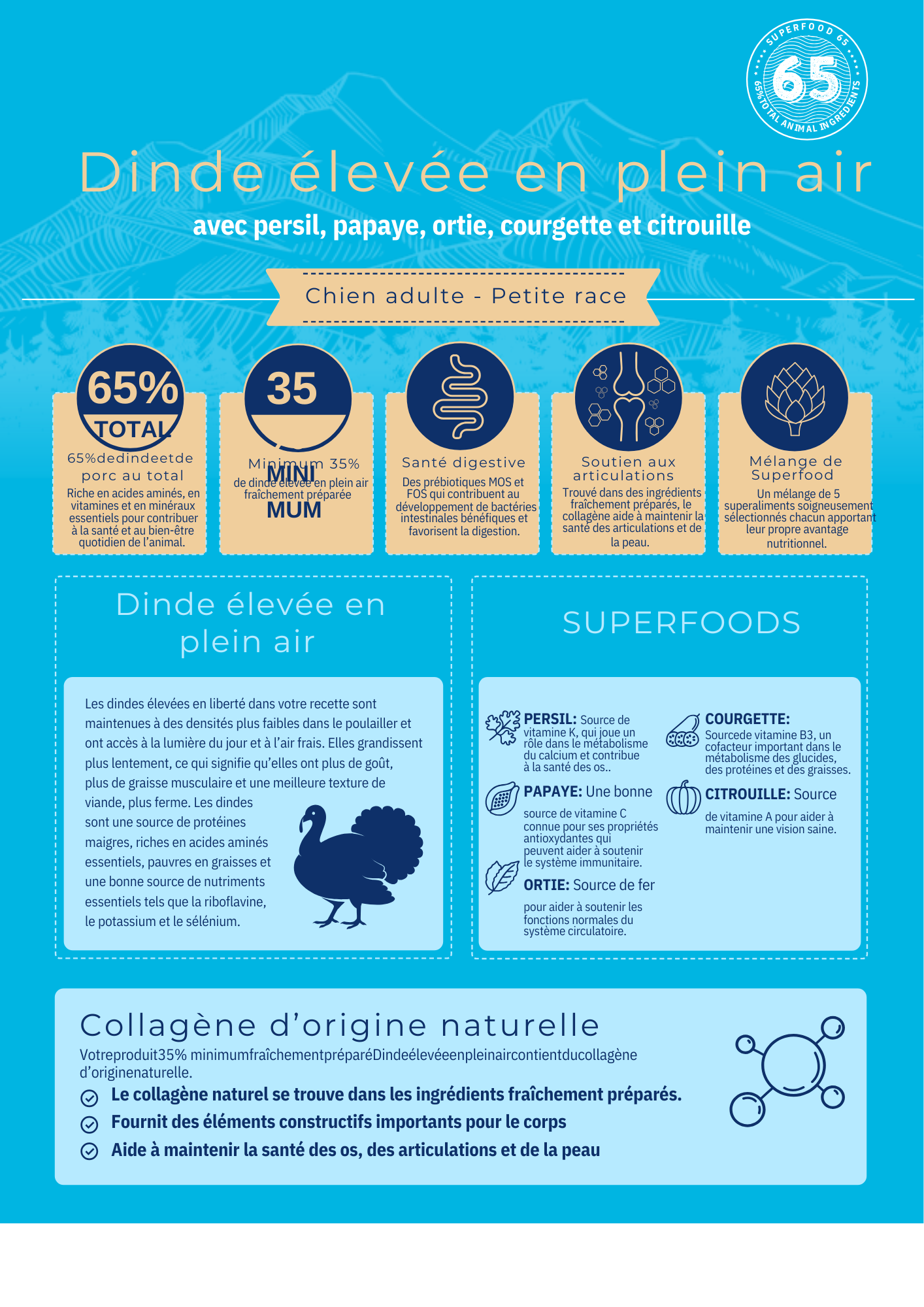 Croquettes Chien Premium Adulte Petite Race