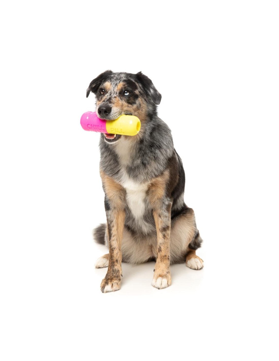 Jouet pour chien Chill Pill