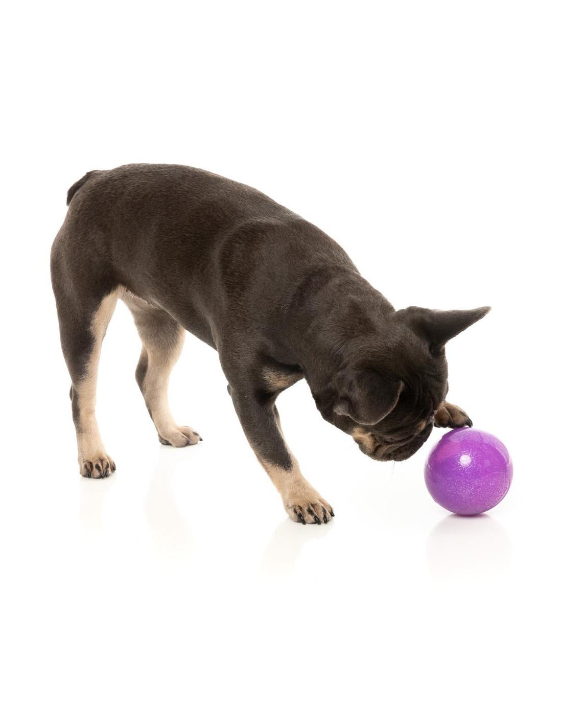 Jouet pour chien  Tellin' Treat Ball