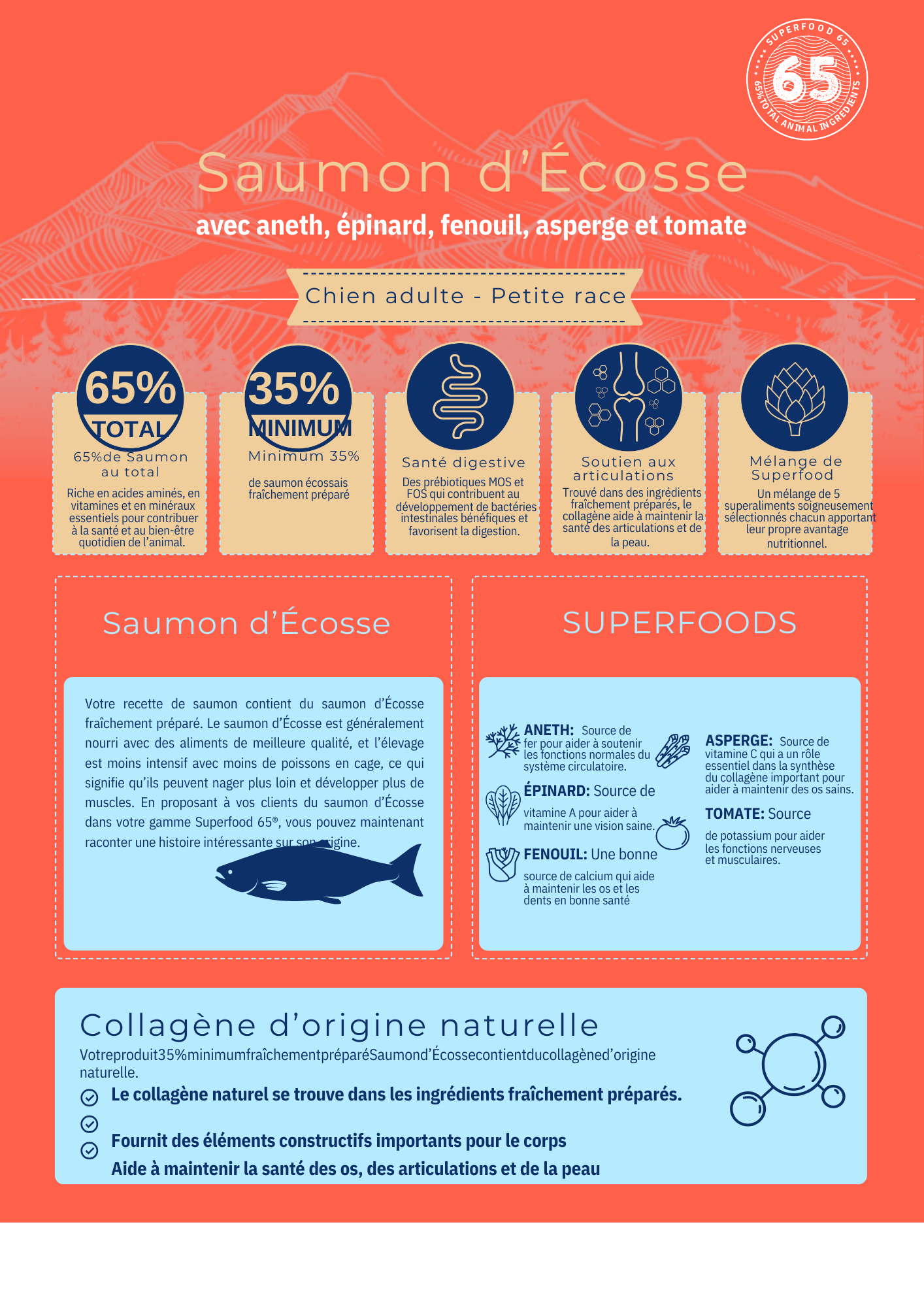 Croquettes Chien Premium Adulte Petite Race