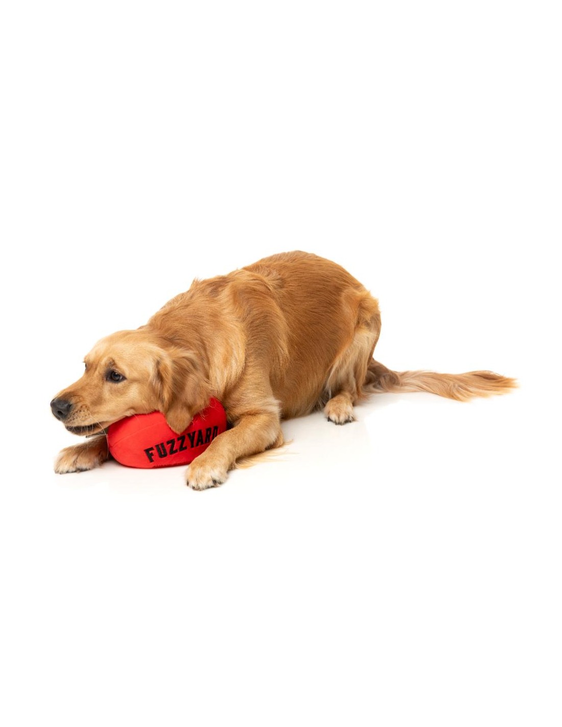  Jouet pour chien Aussie Football