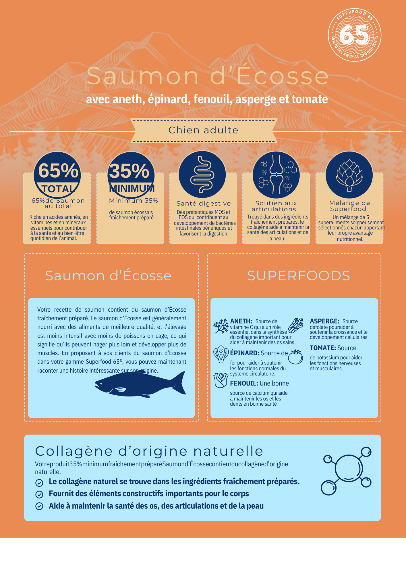 Recette Premium Chien Adulte – Saumon Écossais & Superaliments