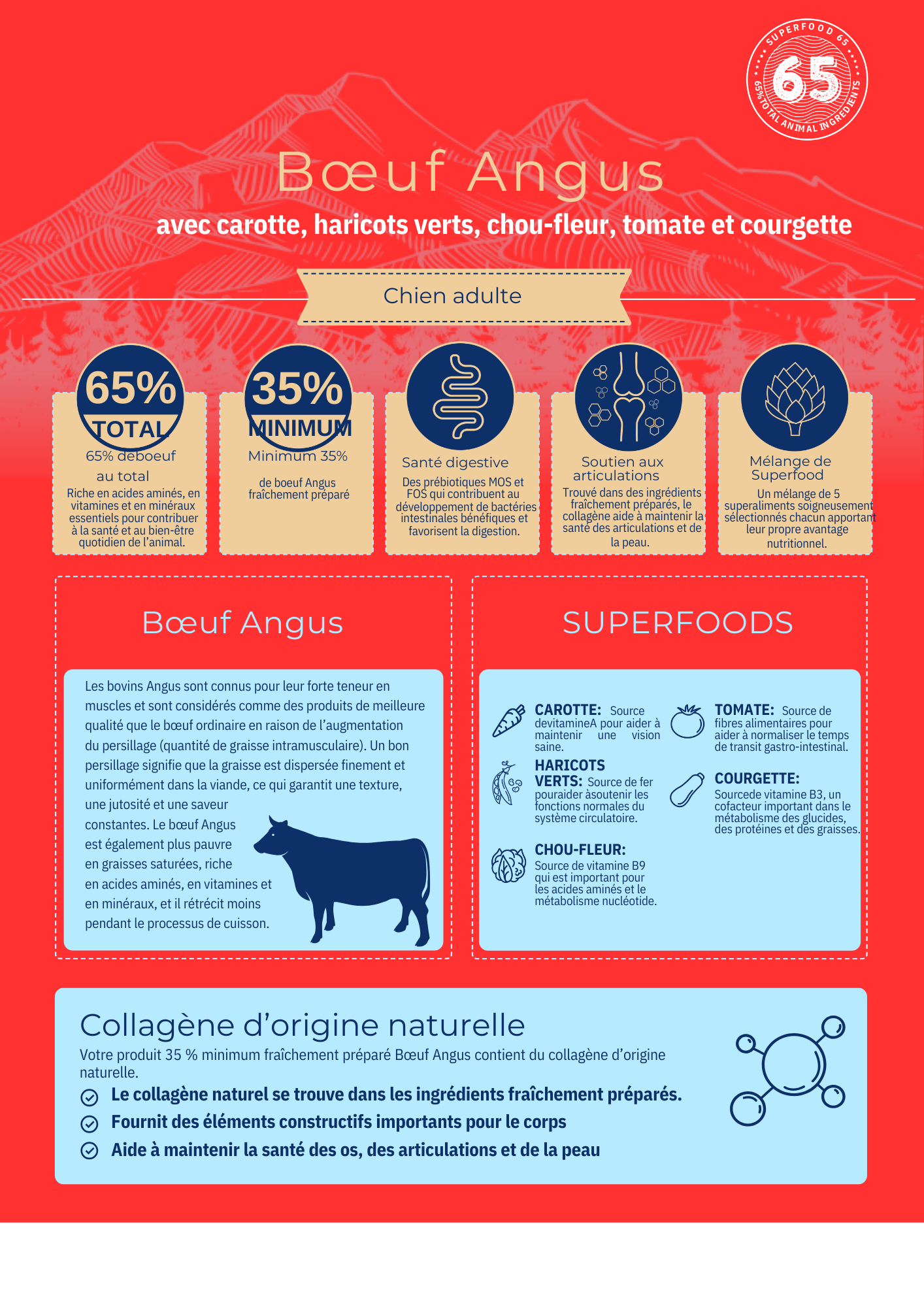 Croquettes Chien Premium Adulte