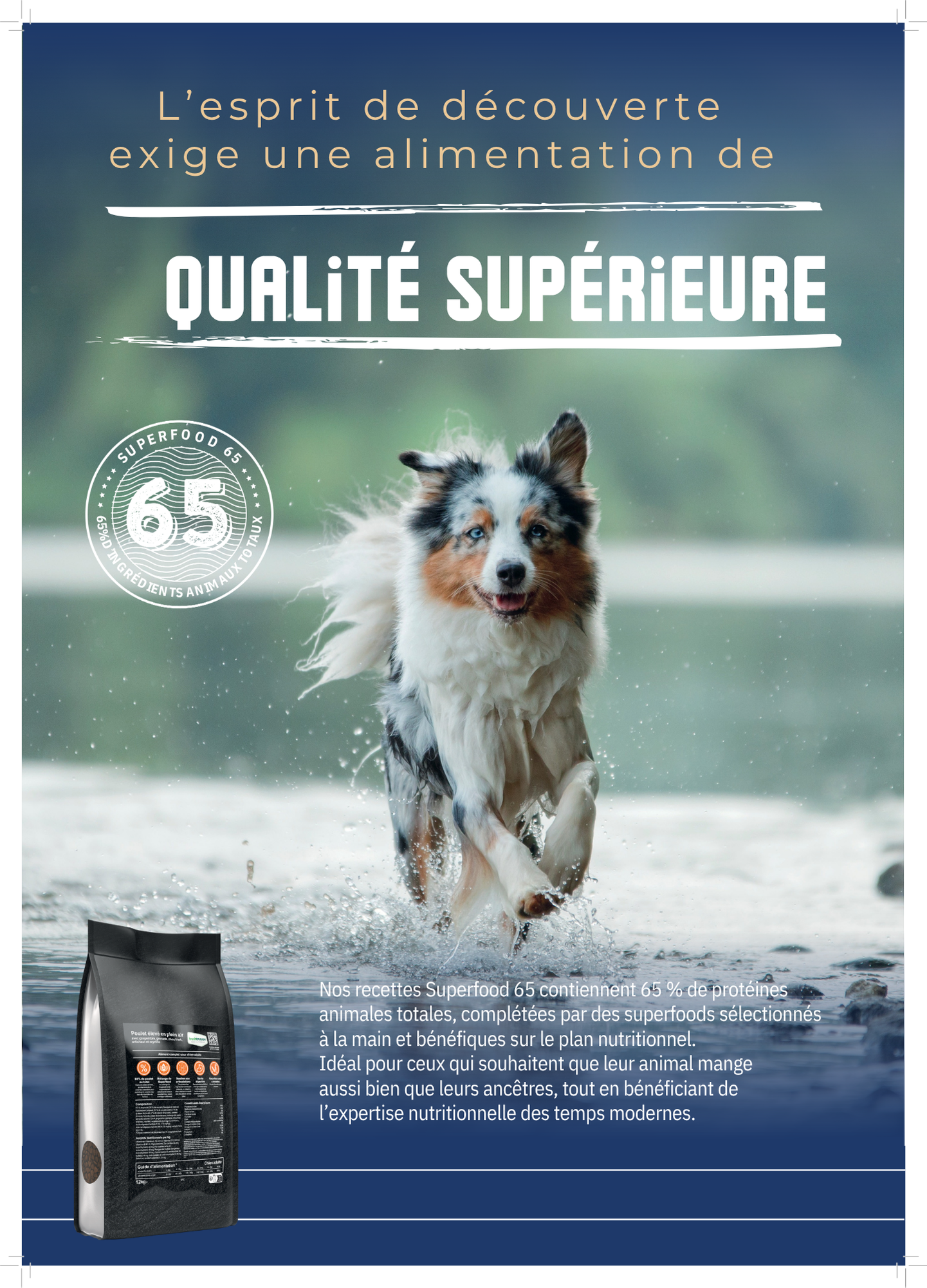 Croquettes Chien Premium Adulte