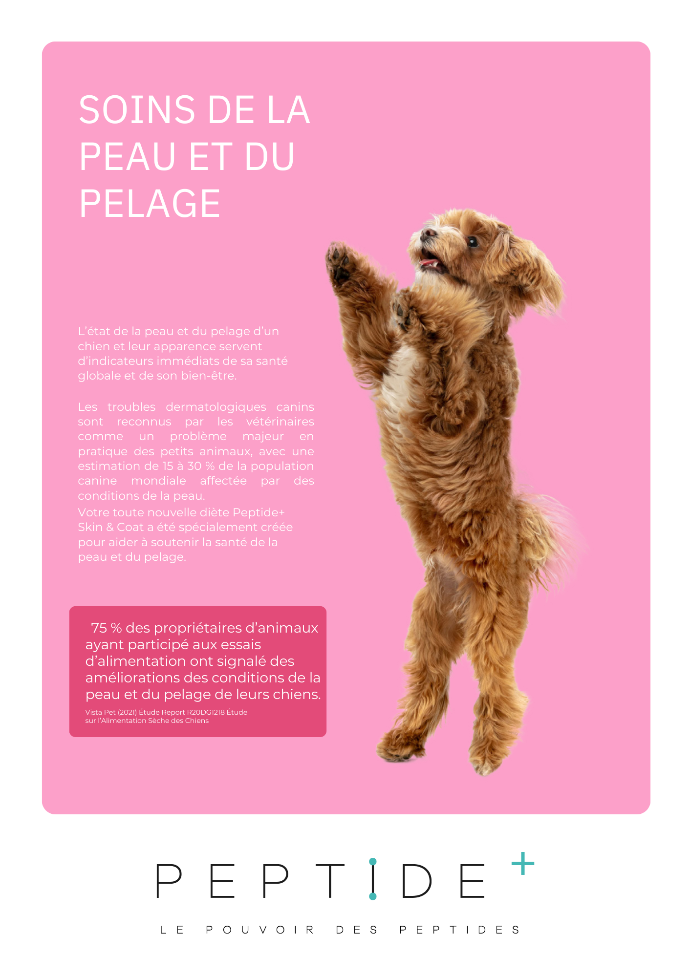 Croquettes Super Premium Pour Chien Saumon Hydrolysé & Superaliments