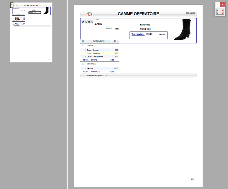 GO-SHOES