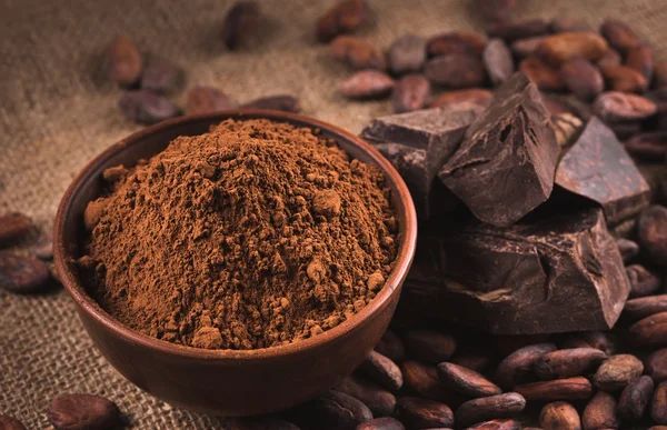 Poudre de cacao Cémoi professionnel 16kg