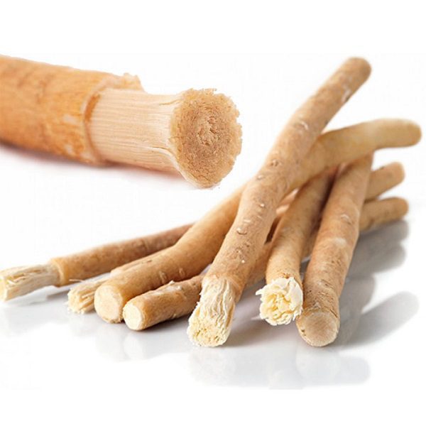 Siwak Naturel Miswak – Bâtonnet Salvadora Persica Premium