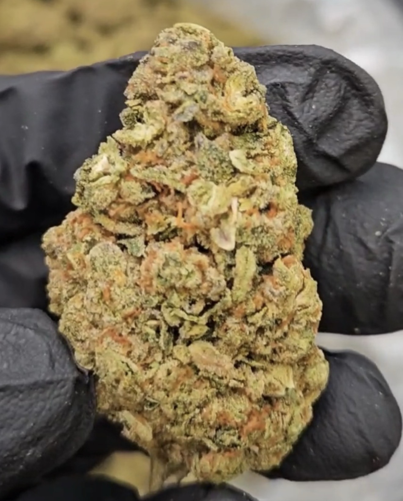 Jealousy 3.5g (30% THC) - Indica