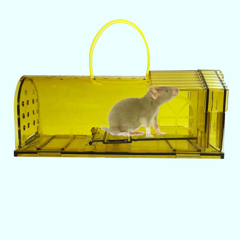 Portable mouse trap