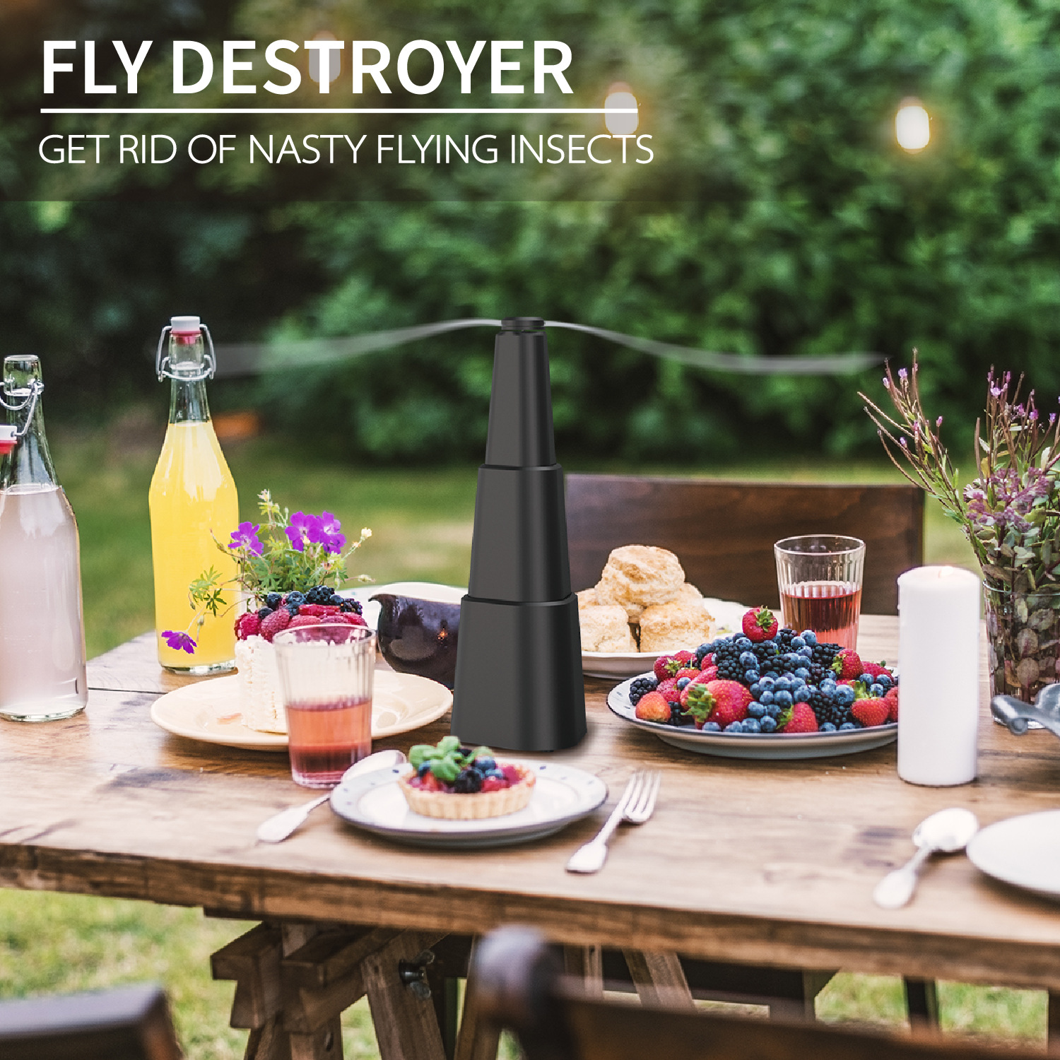 Fly Destroyer