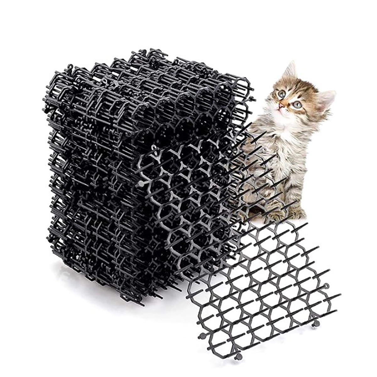 Anti-cat nails Anti-cat thorns