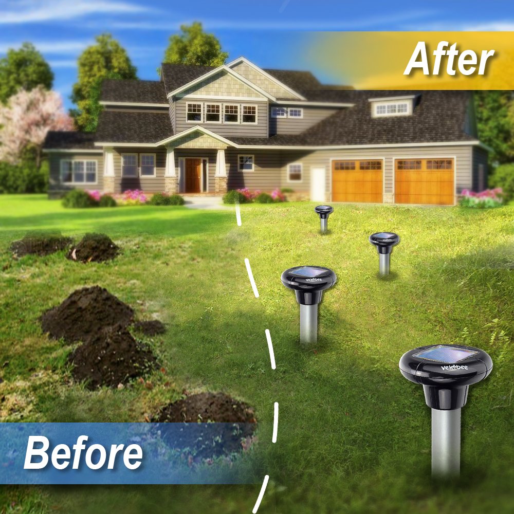 Solar Mole Repellent