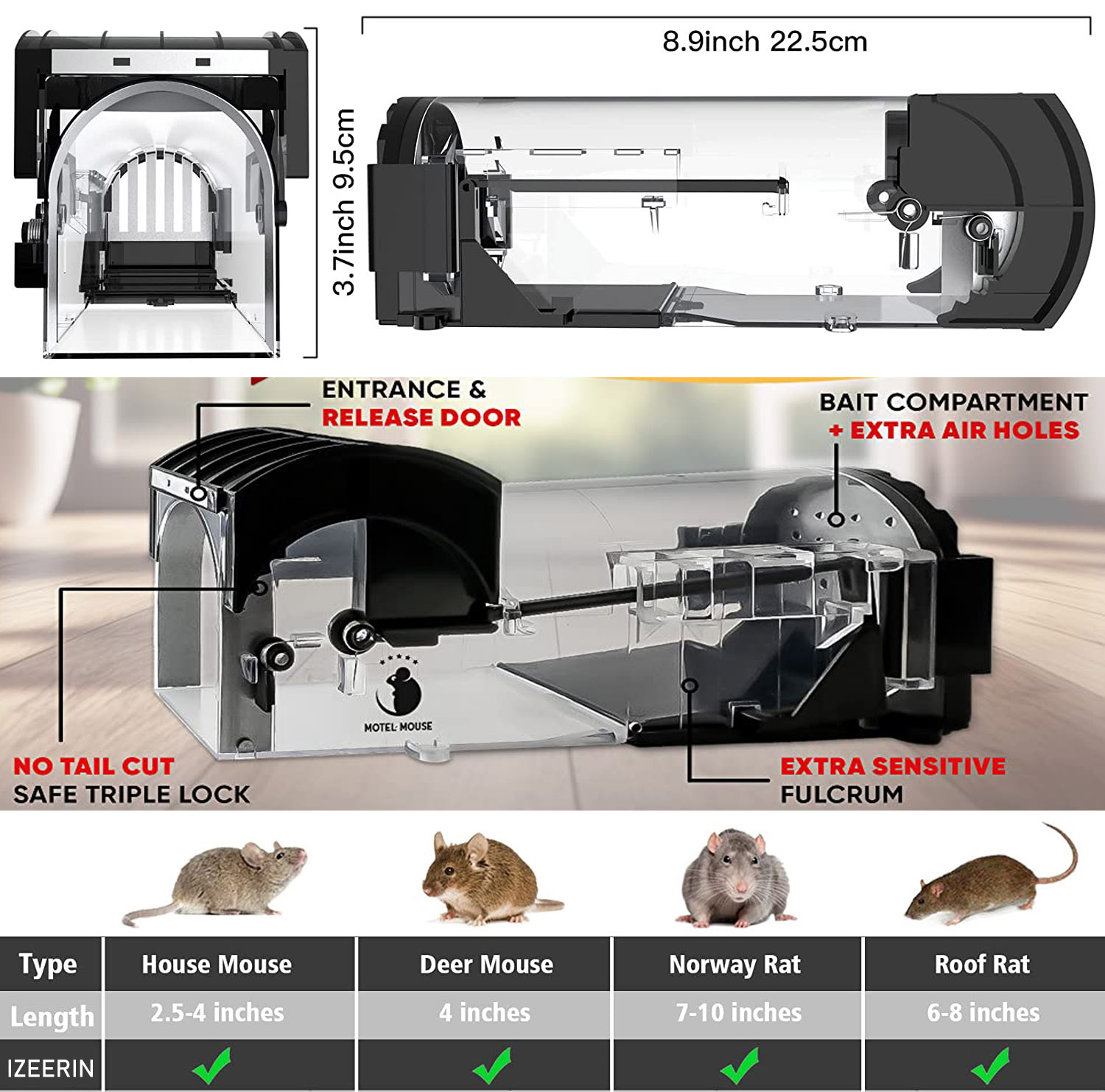 Humane Mouse and Rat Trap