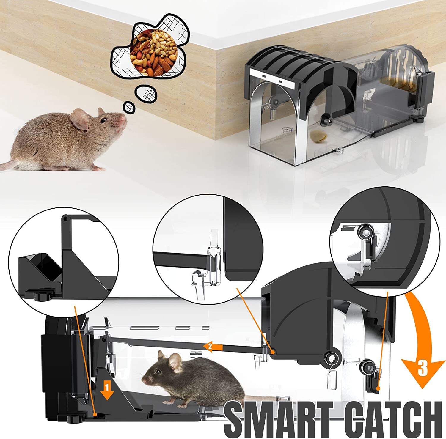 Humane Mouse and Rat Trap