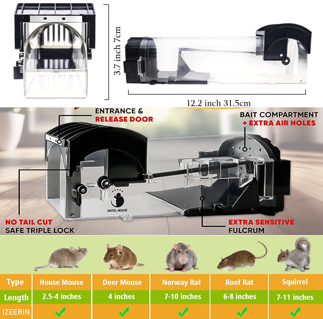 Rat Traps