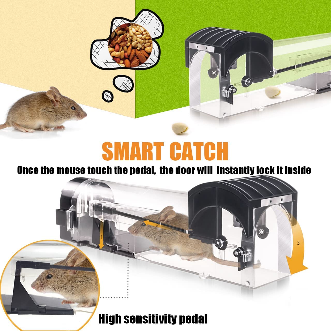 Rat Traps