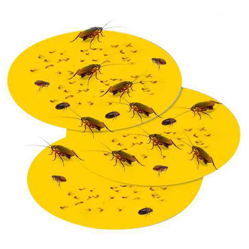 Pest Control Glue Traps