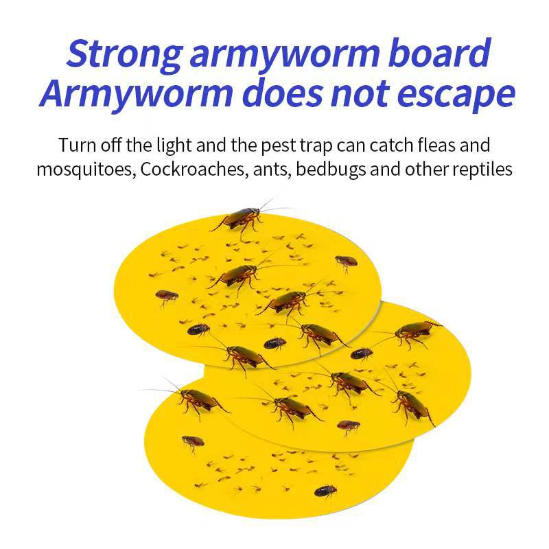 Pest Control Glue Traps