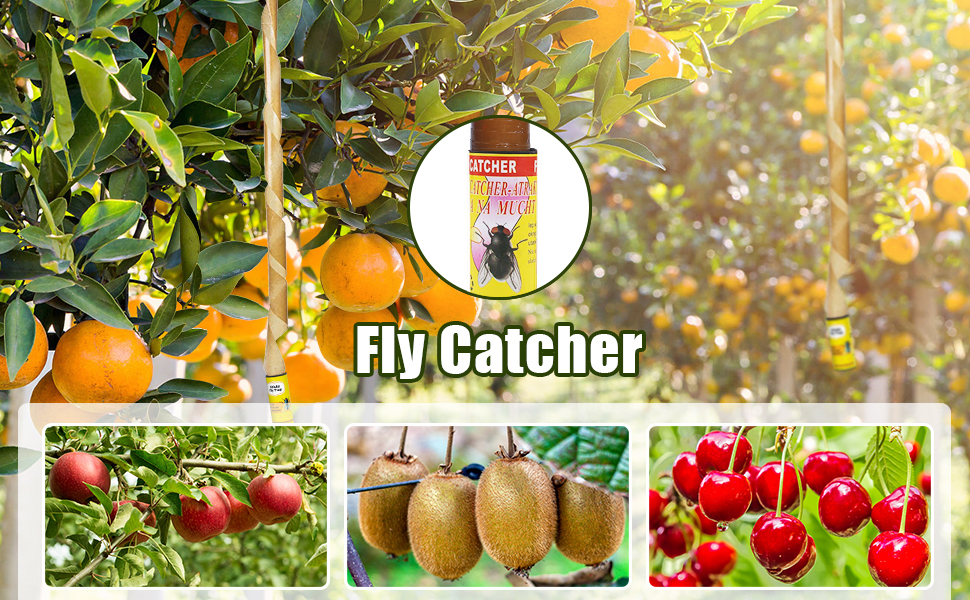 Fly Trap Sticky Paper