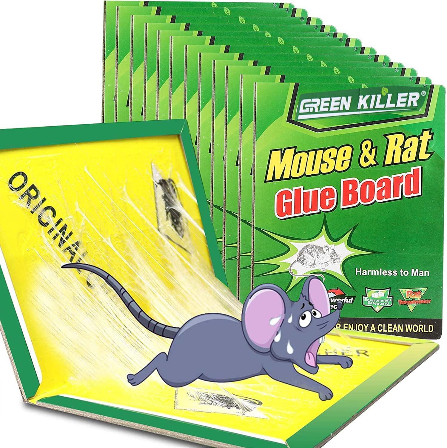 Mouse & Rat Glue Board  Mouse Sticky Board
