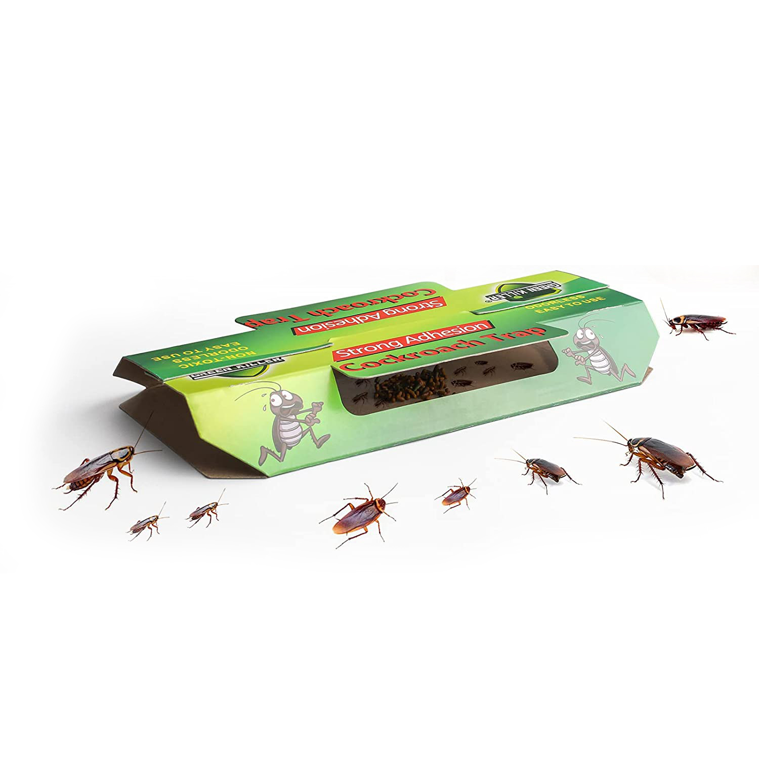 Cockroach Bait Trap