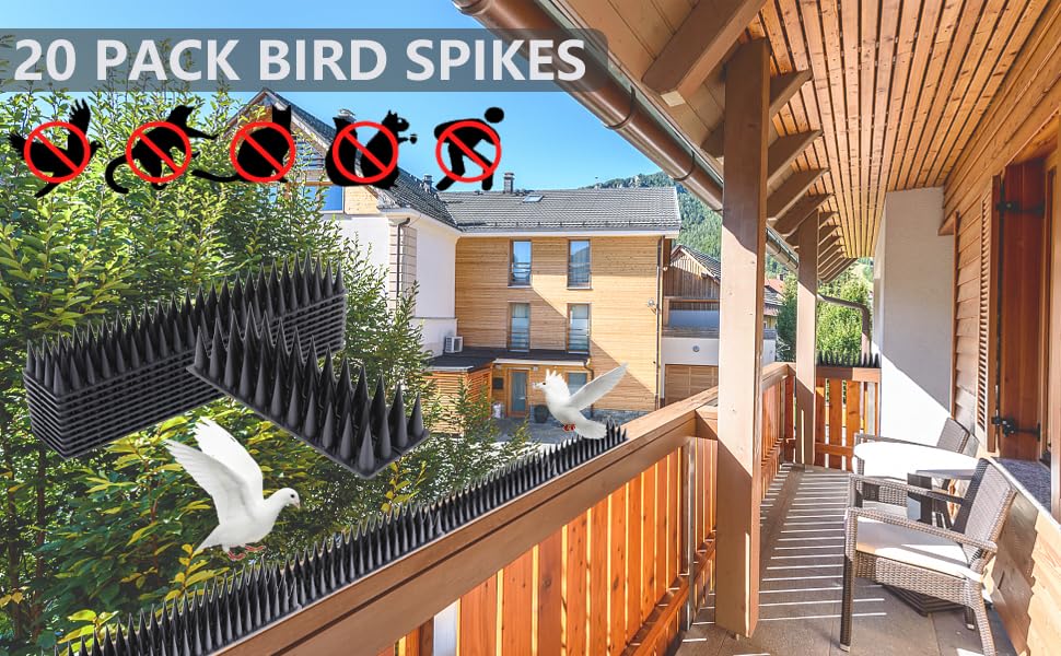Bird Spikes