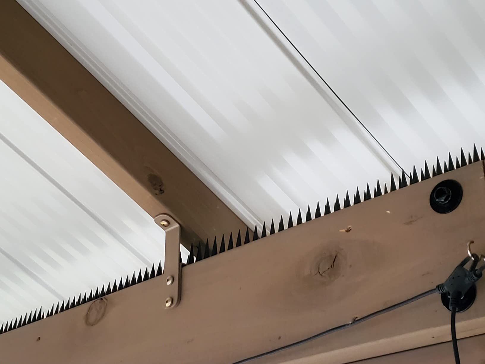 Bird Spikes
